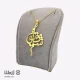 پلاک اسم شقایق کد PE01173