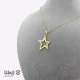 پلاک طرح ستاره توخالی